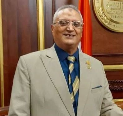 أبو عايشه:زيارة الرئيس الإندونيسي لمصر تُعزز الشراكة الاستراتيجية بين البلدين في ظل تحديات عالمية