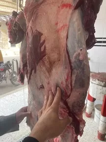 الشرقية: ضبط 2 طن لحوم ودواجن وأسماك منتهية الصلاحية 3 - جريدة الجمهورية 1 145 - جريدة الجمهورية