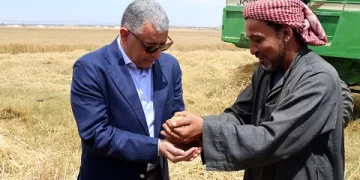 الإسماعيلية تحتفل ببدء حصاد «الذهب الأصفر»