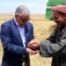 الإسماعيلية تحتفل ببدء حصاد «الذهب الأصفر»