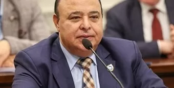 النائب حسين خضير: جولة الرئيس الخليجية تعكس التحرك المصري لحماية الأمن العربي