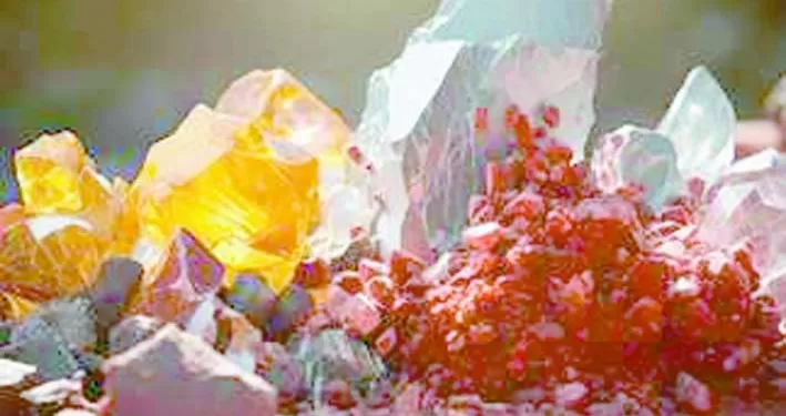 «الجمهورية الأسبوعى» تبحث عن إجابة للسؤال الراهن: هل نحن على أعتاب عصر نهب الثروات؟