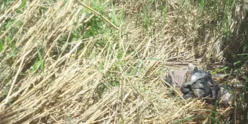 4 أهلاوية ينتظرون الحسم بعد المونديال