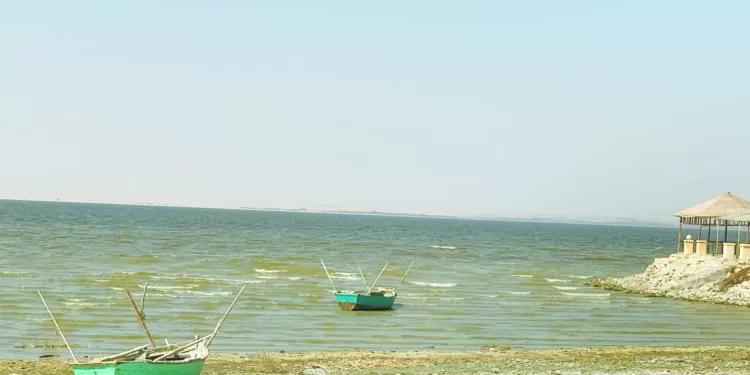 وادى الريان.. ثروة الأسماك بالفيوم 1 - جريدة الجمهورية جلسة الحسم