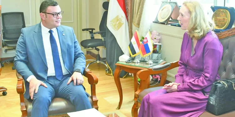 وزير الإسكان: دعم كامل للاستثمار الأجنبى وتوطين صناعات البناء والتشييد 1 - جريدة الجمهورية جلسة الحسم