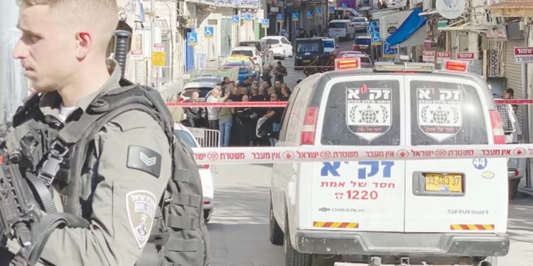 ضبط مركز تعليمى وهمى يمنح شهادات مزورة بمدينة نصر