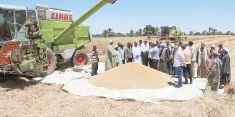 «سويلم»: صيانة محطات الرى وراء نجاح زراعة القمح عالى الجودة بــ «النقرة» 1 - جريدة الجمهورية الزمالك فى مهمة صعبة أمام سموحة