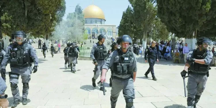 «بيسيرو» مستمر لنهاية الموسم