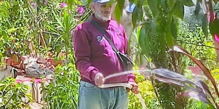 الإسماعيلية تتزين لإستقبال الزوار