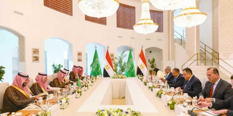 دراسة أورلاندو بـ «الفيديو» بيراميدز يراجع الأمور الفنية قبل الإياب الإفريقى