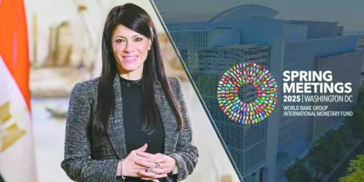 دراسة أورلاندو بـ «الفيديو» بيراميدز يراجع الأمور الفنية قبل الإياب الإفريقى