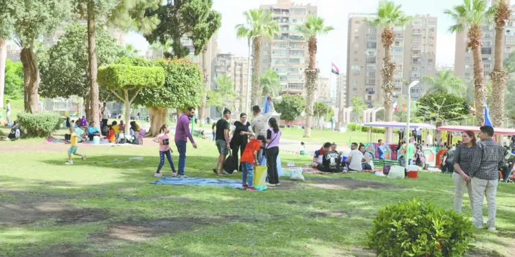 دراسة أورلاندو بـ «الفيديو» بيراميدز يراجع الأمور الفنية قبل الإياب الإفريقى