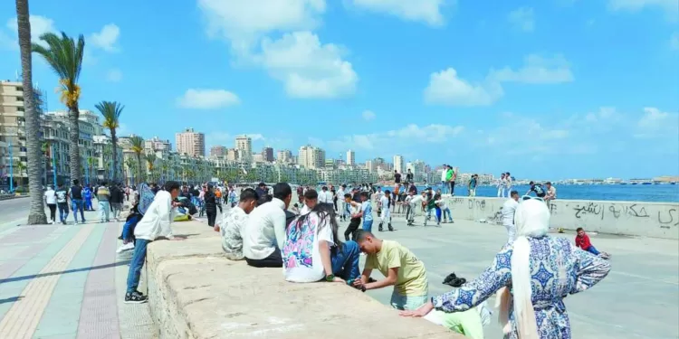 دراسة أورلاندو بـ «الفيديو» بيراميدز يراجع الأمور الفنية قبل الإياب الإفريقى