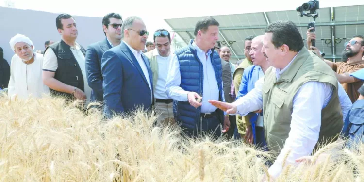 احتفالات ومكافآت فى بيراميدز