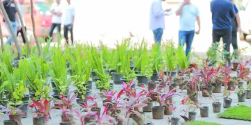 «ابن النيل»..  أسطورة الجيل