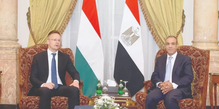 «القاهرة» تواصل جهودها لاحتواء التصعيد بالمنطقة 1 - جريدة الجمهورية «القاهرة» تواصل جهودها لاحتواء التصعيد بالمنطقة