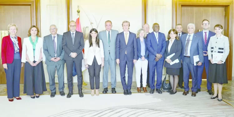 منصة الفرص والوظائف فى مصر بيانات لأكثر من 400 مهنة لدعم صناع القرار والخريجين