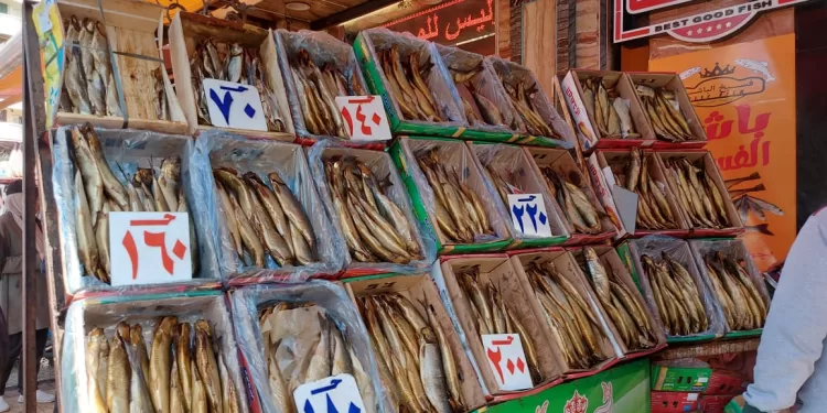 شم النسيم في الإسكندرية.. بحر ومصطافون ورنجة بأسعار تناسب الجميع