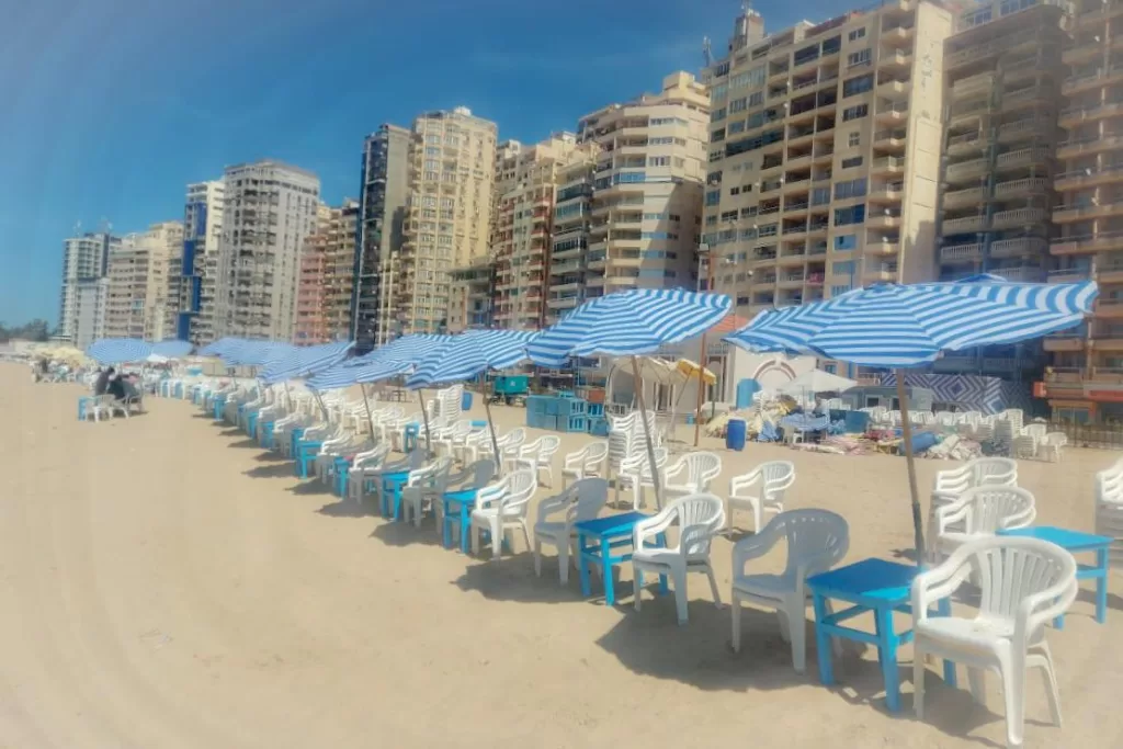 شم النسيم في الإسكندرية.. بحر ومصطافون ورنجة بأسعار تناسب الجميع 2 - جريدة الجمهورية WhatsApp Image 2025 04 20 at 3.51.56 PM - جريدة الجمهورية