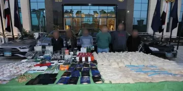 وزير الشباب يتابع استعدادات منتخب المصارعة للبطولة الأفريقية بالمغرب