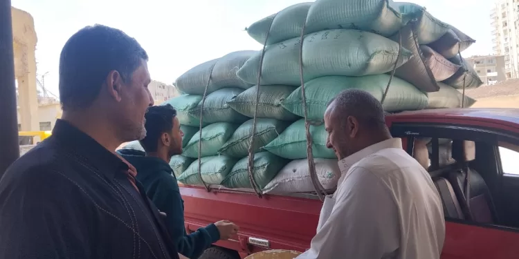 بدء توريد محصول القمح بكفر الشيخ
