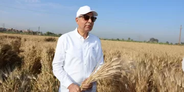 مخالفة صارخة.. نائب محافظ المنيا يضبط سيارة ربع نقل محملة بـ35 طفلاً