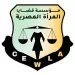 نقاش مستفيض حول القرار 1325 بعيون مصرية في فعالية «قضايا المرأة»