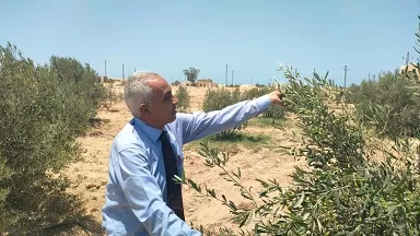 بسواعد أبناء «قرية الخروبة».. مبادرة محلية تنجح في تزيين القرية بالزراعة والمساحات الخضراء 3 - جريدة الجمهورية 1 323 - جريدة الجمهورية
