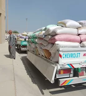 الجيزة: 66 ألف طن من القمح تم توريدها في أولى مراحل موسم الحصاد 4 - جريدة الجمهورية 1 89 - جريدة الجمهورية