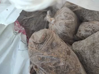خلال 48 ساعة.. المنوفية تضبط كميات من الأغذية غير الصالحة وتحرر محاضر للمخالفين 4 - جريدة الجمهورية 3 109 - جريدة الجمهورية