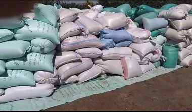 المنوفية: ضبط 30 طن أسمدة مدعمة مهربة و15 طن قمح بمخزن غير مرخص بالباجور 3 - جريدة الجمهورية 3 128 - جريدة الجمهورية