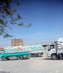 محافظة الشرقية: 556 ألف طن قمح يتم توريدها إلى الصوامع والشون 2 - جريدة الجمهورية 3 164 - جريدة الجمهورية