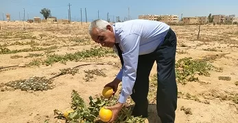 بسواعد أبناء «قرية الخروبة».. مبادرة محلية تنجح في تزيين القرية بالزراعة والمساحات الخضراء