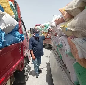 الجيزة: 66 ألف طن من القمح تم توريدها في أولى مراحل موسم الحصاد 3 - جريدة الجمهورية 3 75 - جريدة الجمهورية