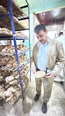المنوفية: حملات تموينية مكثفة على مخابز شنوان استجابة لشكاوى المواطنين 2 - جريدة الجمهورية 4 103 - جريدة الجمهورية