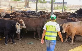 «التضامن الاجتماعي» تكثف استعداداتها لاستقبال عيد الأضحى المبارك