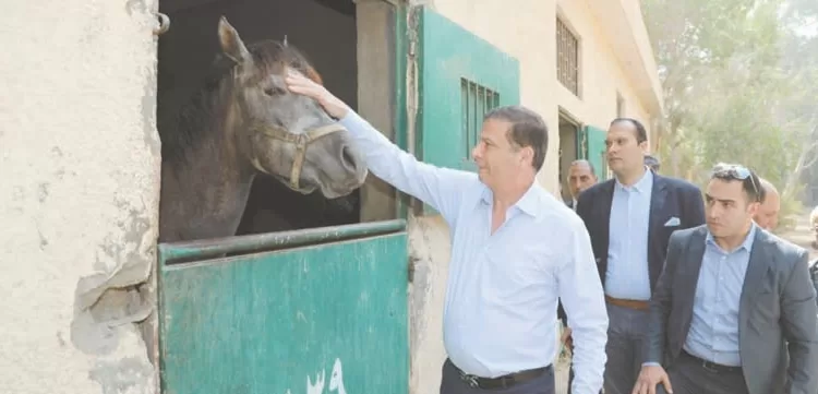 تنفيذاً لتوجيهات الرئيس تطوير شامل لمحطة «الزهراء» للخيول العربية