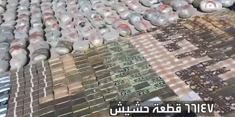 فيديو| قوات حرس الحدود توجه ضربة قاصمة لمهربى وتجار المخدرات.. وتضبط مواد مخدرة بمليار و200 مليون جنيه