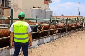 «التضامن الاجتماعي» تكثف استعداداتها لاستقبال عيد الأضحى المبارك 4 - جريدة الجمهورية 8 23 - جريدة الجمهورية