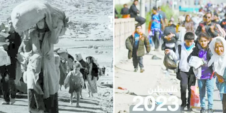 ٧٧ عاماً من النكبة فلسطين.. حق العودة لا يسقط بالتقادم