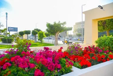«عروس البحر الأبيض المتوسط» تتألق في حلة صيفية 9 - جريدة الجمهورية 9 11 - جريدة الجمهورية