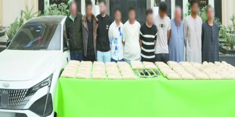 سموحة يستضيف «الطلائع».. وزد يواجه الاتحاد