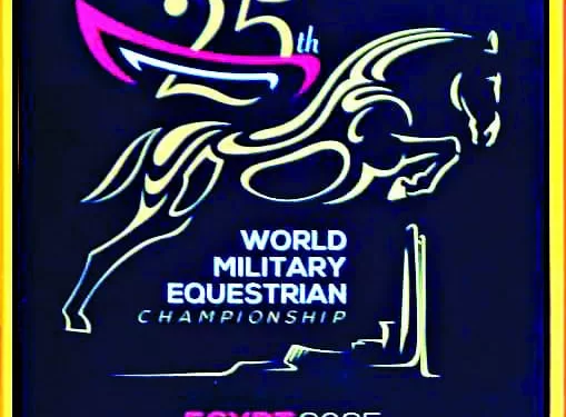 سموحة يستضيف «الطلائع».. وزد يواجه الاتحاد