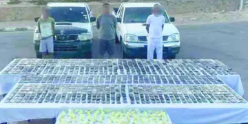 رئيس نادى البنك الأهلى يتحدى: نقترب بقوة من المربع الذهبى.. ومتمسكون بطارق مصطفى