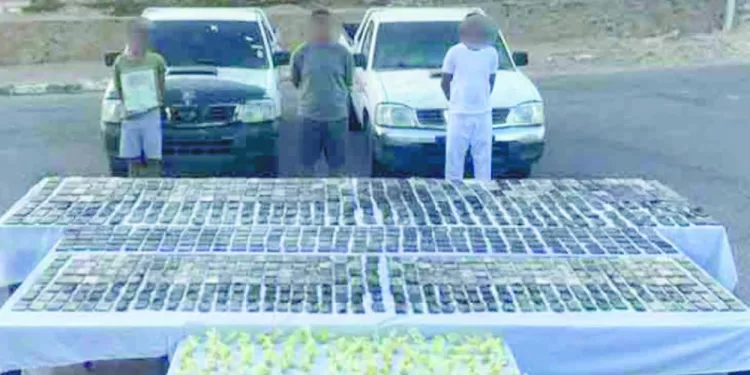 القبض على تشكيل عصابى بشحنة مخدرات فى الدروب الصحراوية 1 - جريدة الجمهورية رئيس نادى البنك الأهلى يتحدى: نقترب بقوة من المربع الذهبى.. ومتمسكون بطارق مصطفى