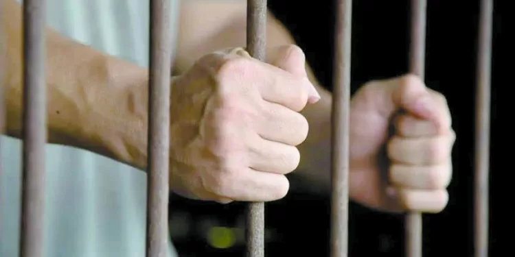 رئيس مجلس الإدارة احتال على المواطنين واستولى على 150 مليون جنيه 1 - جريدة الجمهورية رموز فنية بارزة فى مصنع النجوم