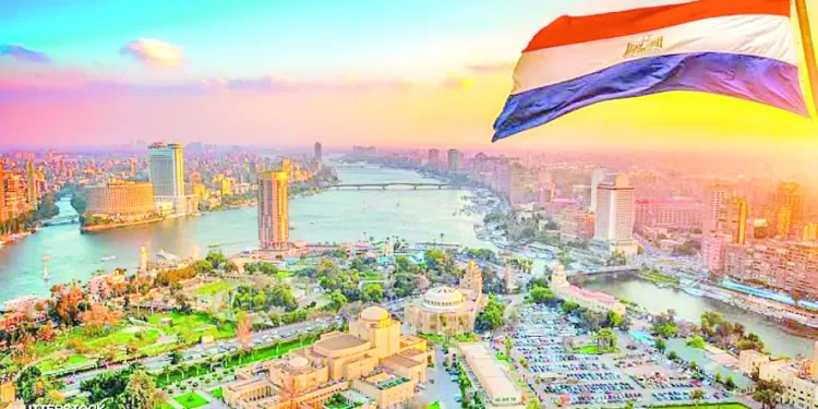 عرض الخليج ينقذ الأهلى