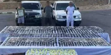 ضبط تشكيل عصابي في سيناء بـ«كوكايين وهيدرو وأفيون»