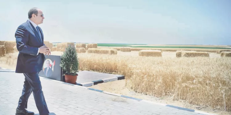 مستقبل مصر.. حصاد الخير