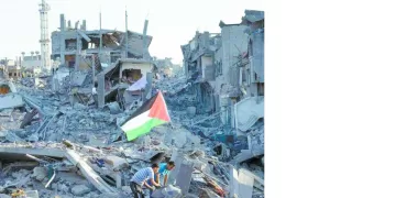 غصن الزيتون  الأمريكى